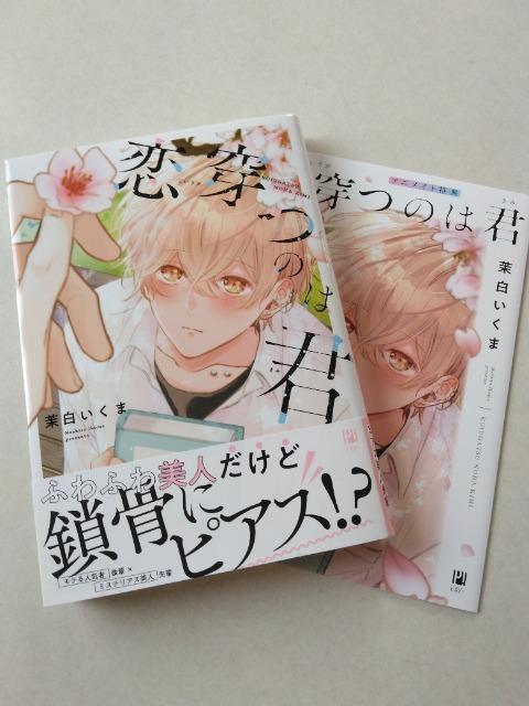 恋穿つのは君〈アニメイト特典付〉/茉白いくま < アニメ/コミック/キャラクター 恋穿つのは君〈アニメイト特典付〉/茉白いくま < アニメ/コミック/キャラクターの