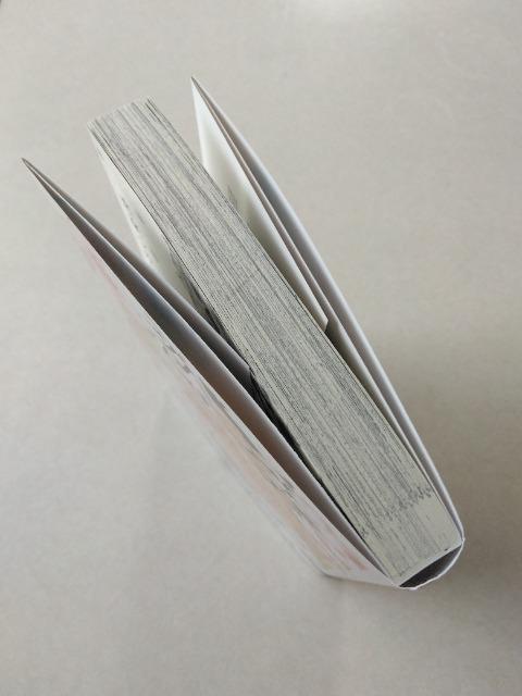 恋穿つのは君〈アニメイト特典付〉/茉白いくま < アニメ/コミック/キャラクター 恋穿つのは君〈アニメイト特典付〉/茉白いくま < アニメ/コミック/キャラクターの