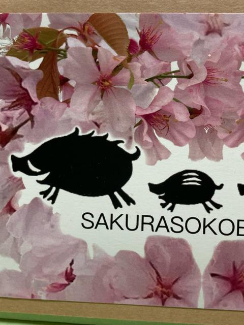 1/ポストカード/花咲婆/猪シルエット+桜/イラストと写真切り抜き/オリジナル < インテリア/ライフ 1/ポストカード/花咲婆/猪シルエット+桜/イラストと写真切り抜き/オリジナル < インテリア/ライフの