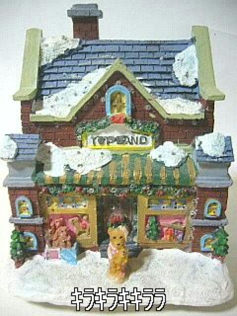 《New》幻想的*癒し・インテリアに最適★キラキラ輝く*ファイバーハウス < インテリア/ライフ  《New》幻想的*癒し・インテリアに最適★キラキラ輝く*ファイバーハウス < インテリア/ライフの