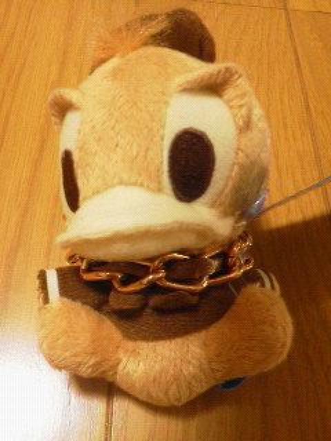 Vihihʂ݃L[z_[v[gt    