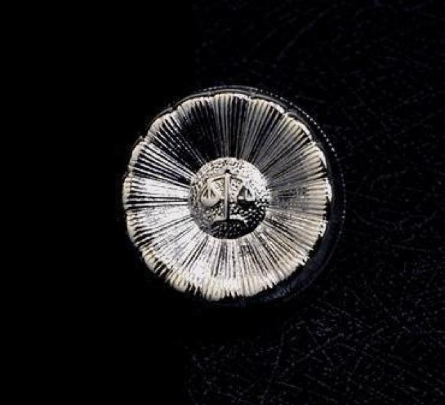 演劇小道具 弁護士記章 バッジレプリカ いぶし銀色 A-5 < ホビー 演劇小道具 弁護士記章 バッジレプリカ いぶし銀色 A-5 < ホビーの