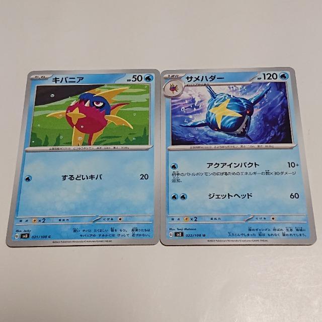 |PJ[h LojA C & Tn_[ U XJ[bgoCIbg ̎xz I[i[ |PJ 