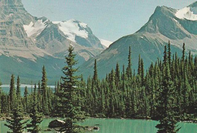 カナダ 郵便絵はがき8¢1970年代 3種【F-6】 < ホビー カナダ 郵便絵はがき8¢1970年代 3種【F-6】 < ホビーの