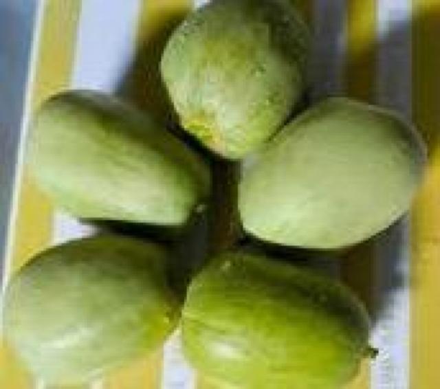 �������A�A���o���A�Ƒ��A���i�A+�I�ׂ�e�i�v���[���g�I���S�����̑S�����������ł��I(^o^)/