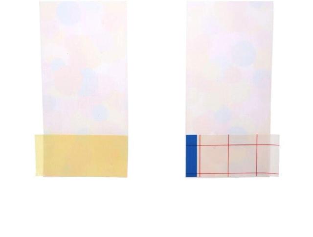 Vl uh{ 2019 o^C bsO hbg pXeJ[ 82cm CHANELyKiz  uh 