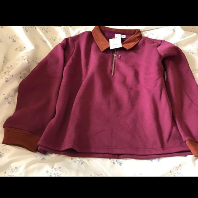 Vi^OtINTER FACTORY@݃R[fCn[tWbvXEFbg@L  jt@bV 