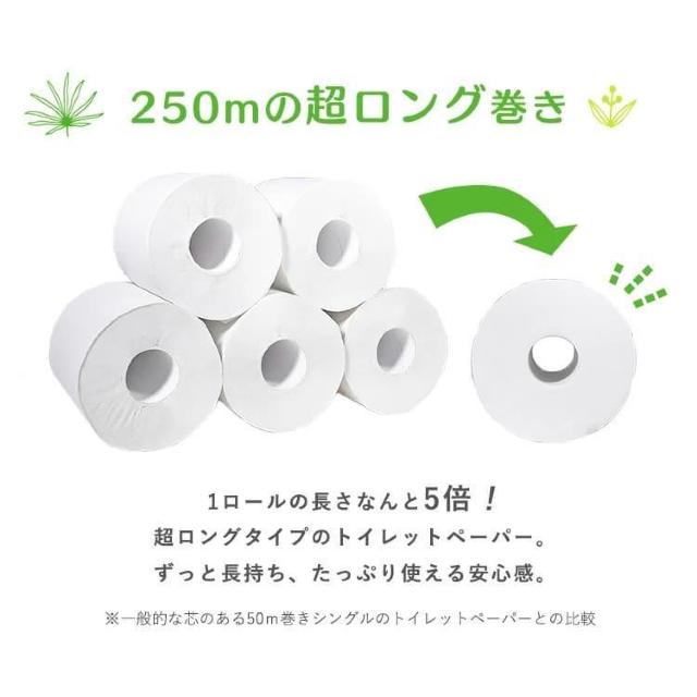 y16[zgCbgy[p[ 250m~4[~4Zbg 5{  CeA/Ct 