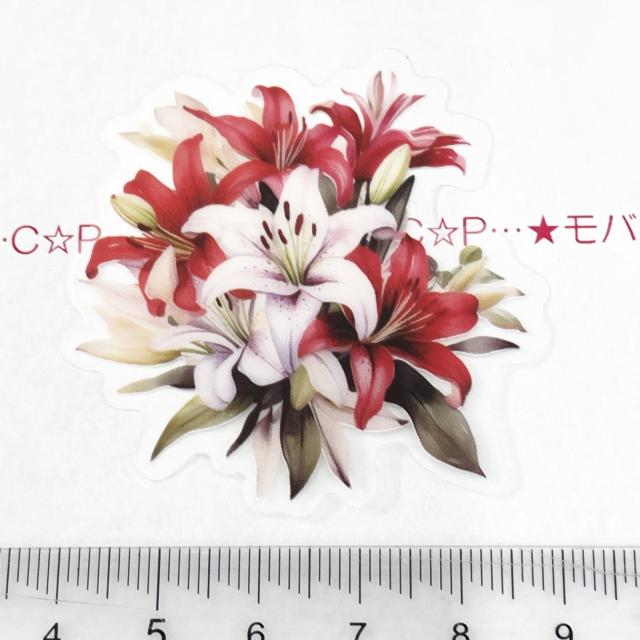 �R���[�W���V�[���@�o�����^�C���@264  �� �C���e���A/���C�t�� 