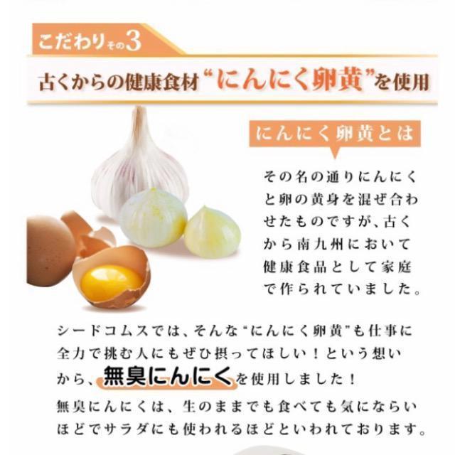 すっぽん黒酢にんにく卵黄 約3ヵ月分 無臭にんにく サプリメント 健康食品 < ヘルス/ビューティー すっぽん黒酢にんにく卵黄 約3ヵ月分 無臭にんにく サプリメント 健康食品 < ヘルス/ビューティーの