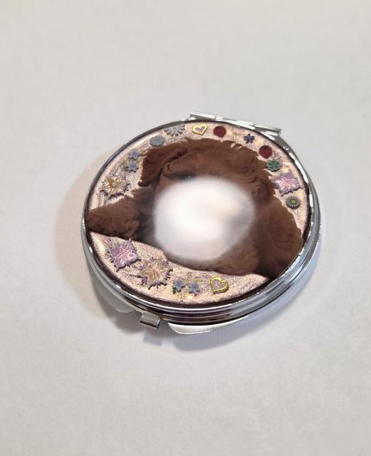 �g�C�v�[�h���苾������T�C�Y�@�@�g�C�v�[�h���@�@�v�[�h���@�@�@���@�@���W���苾�@�@�@���킢���苾�@�@�n���h���C�h�@�@�@���������@ �� �����t�@�b�V������ 