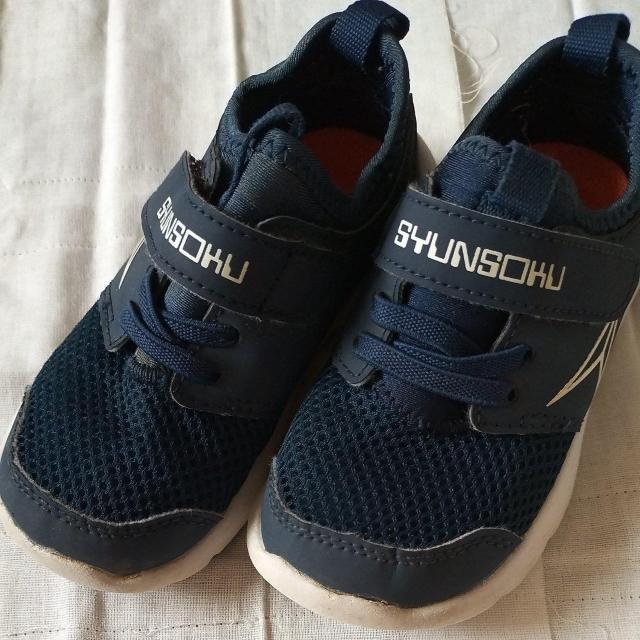 u@lCr[@15.5cm@i   LbY/xr[ 