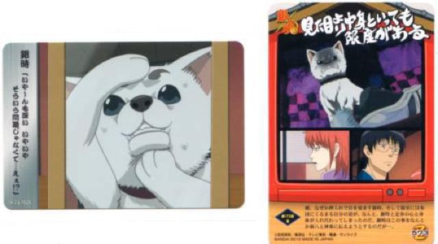 ⍰XgJ@Xg[[J[h@Z-573@173bB@⎞ 