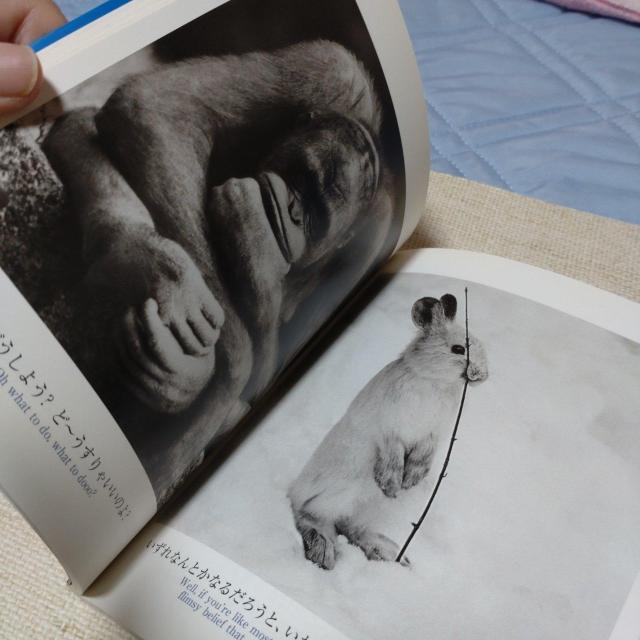 ブルーデイBOOK < 本/雑誌 ブルーデイBOOK < 本/雑誌の