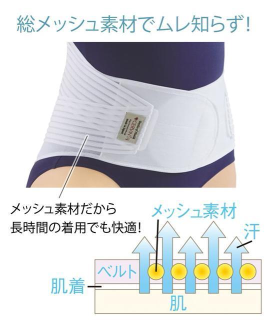 ViLL`3LLŃRZbg6,578~􍘃RZbgQ525  wX/r[eB[ 