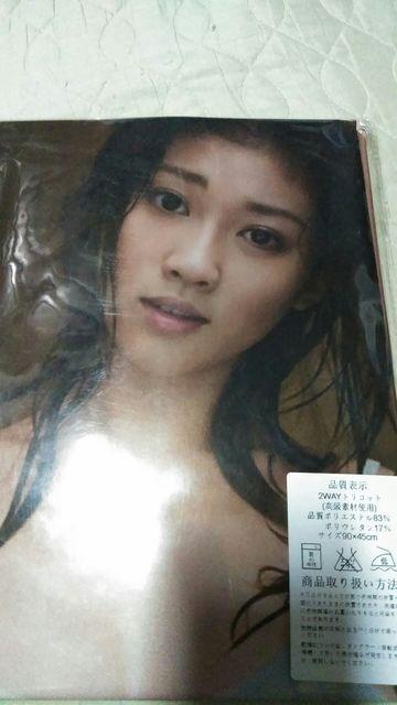 ☆原幹恵 ☆抱き枕カバー 新品未開封 < タレントグッズ  ☆原幹恵 ☆抱き枕カバー 新品未開封 < タレントグッズの