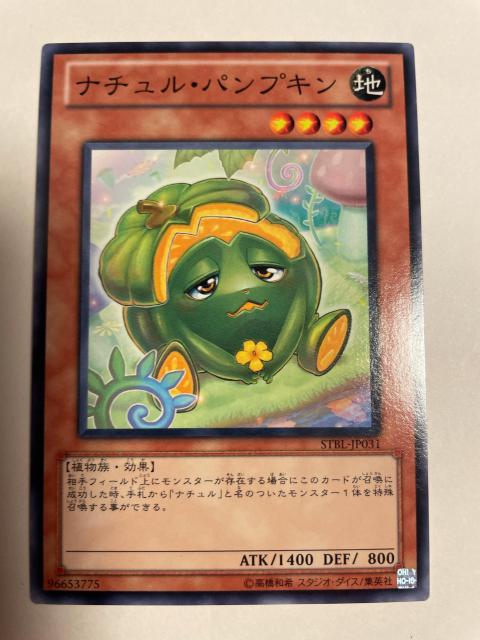 遊戯王【地・ナチュラルパンプキン】 < トレーディングカード  遊戯王【地・ナチュラルパンプキン】  < トレーディングカードの