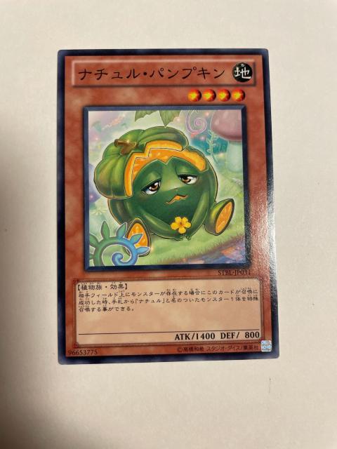 遊戯王【地・ナチュラルパンプキン】 < トレーディングカード  遊戯王【地・ナチュラルパンプキン】 < トレーディングカードの