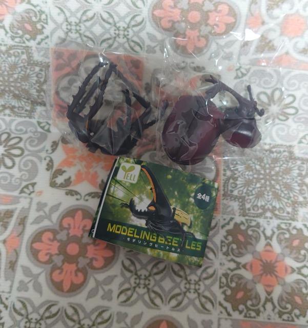 定形外送料無料】ガチャガチャ○『モデリングビートルズ』ヤマトカブトムシ < ホビー 定形外送料無料】ガチャガチャ○『モデリングビートルズ』ヤマトカブトムシ < ホビーの