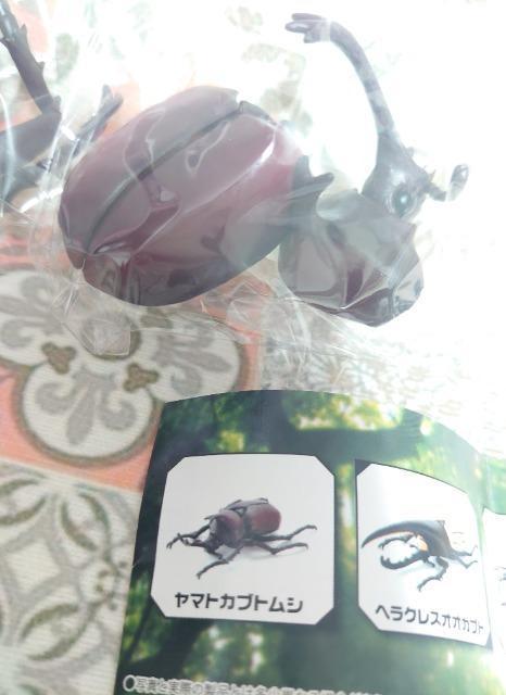 定形外送料無料】ガチャガチャ○『モデリングビートルズ』ヤマトカブトムシ < ホビー 定形外送料無料】ガチャガチャ○『モデリングビートルズ』ヤマトカブトムシ < ホビーの