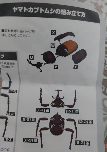 定形外送料無料】ガチャガチャ○『モデリングビートルズ』ヤマトカブトムシ < ホビー 定形外送料無料】ガチャガチャ○『モデリングビートルズ』ヤマトカブトムシ < ホビーの