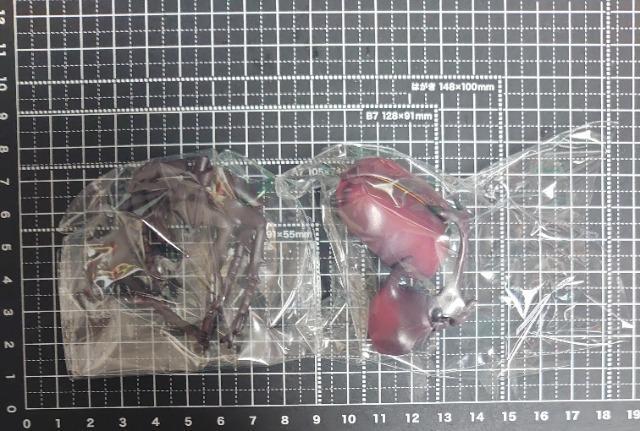 定形外送料無料】ガチャガチャ○『モデリングビートルズ』ヤマトカブトムシ < ホビー 定形外送料無料】ガチャガチャ○『モデリングビートルズ』ヤマトカブトムシ < ホビーの