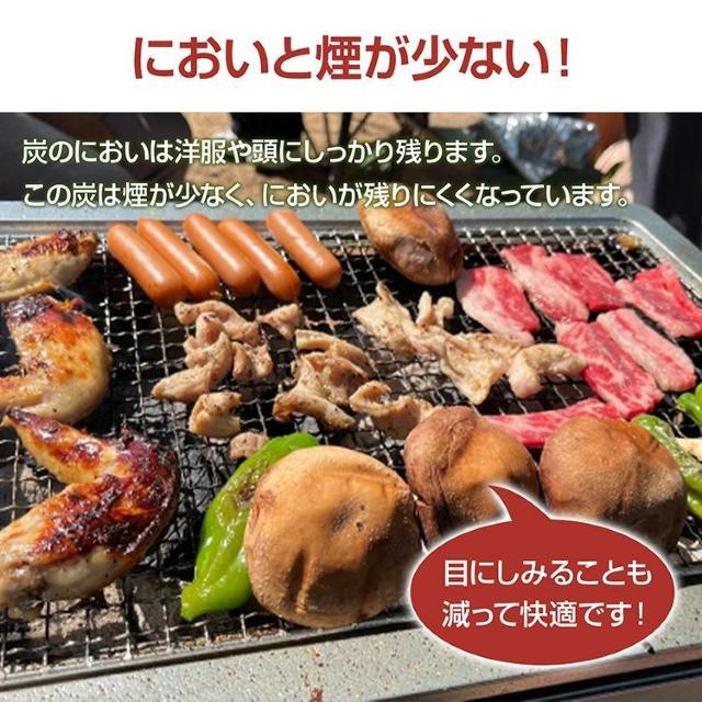 炭 オガ備長炭 10kg バーベキューコンロ 竹炭 松 高火力 長時間燃焼 煙少 高品質 炭火焼き BBQ キャンプ 炭 < レジャー/スポーツ  炭 オガ備長炭 10kg バーベキューコンロ 竹炭 松 高火力 長時間燃焼 煙少 高品質 炭火焼き BBQ キャンプ 炭 < レジャー/スポーツの