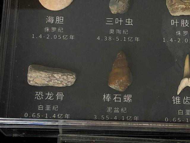 ����3�_�Z�b�g ���ΕW�{ �����̍� �O�t�� �T���̎� �L�k �W�{�� �R���N�V�����y�m��E�N�W�z�Ð������ΕW�{�Z�b�g 11��� �� �y�b�g/��|/���|�� 