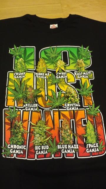 10MUSTーWANTED マリファナプリント 黒ブラック ラスタカラー サイズ2XL XXL R < 男性ファッション  10MUSTーWANTED マリファナプリント 黒ブラック ラスタカラー サイズ2XL XXL R < 男性ファッションの