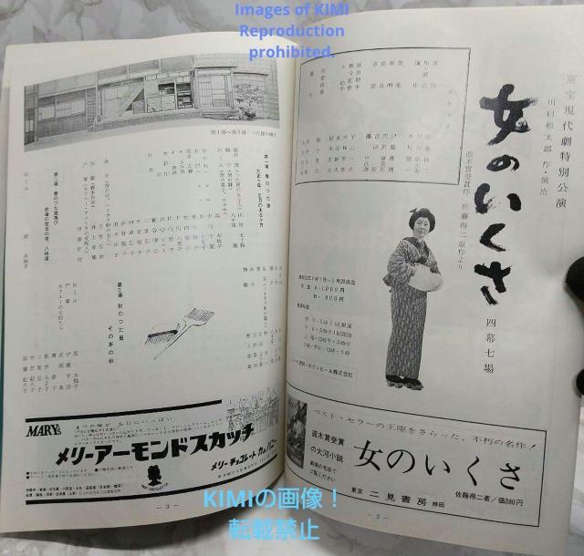 希少 映画パンフ 女のいくさ 東宝現代劇特別公演 芸術座 昭和 昭和1964年 < 本/雑誌  希少 映画パンフ 女のいくさ 東宝現代劇特別公演 芸術座 昭和 昭和1964年 < 本/雑誌の