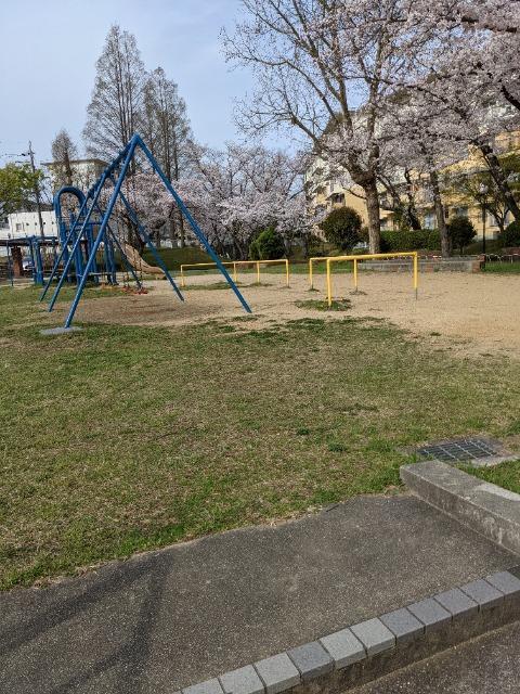 さくら祭v56ノ―べル生理学医学賞チァレンジ特別講座入門用16−19 v56Bp万能細胞増殖理論入門講座英和訳2論文落特付 < ヘルス/ビューティー  さくら祭v56ノ―べル生理学医学賞チァレンジ特別講座入門用16−19 v56Bp万能細胞増殖理論入門講座英和訳2論文落特付 < ヘルス/ビューティーの