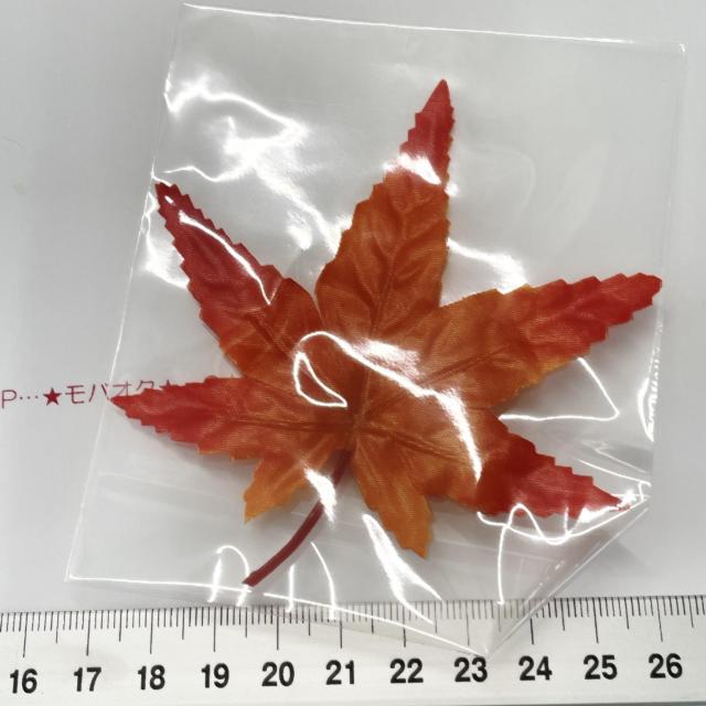 6*���~�W�̃��`�[�t�@17 