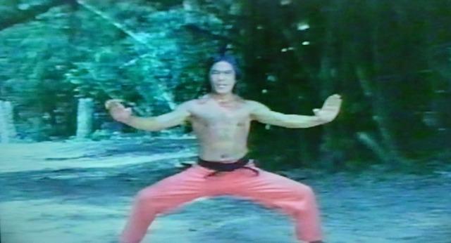 �����˃L���O�I�u�J���t�[���q�c�ۏ� �� CD/DVD/�r�f�I�� 