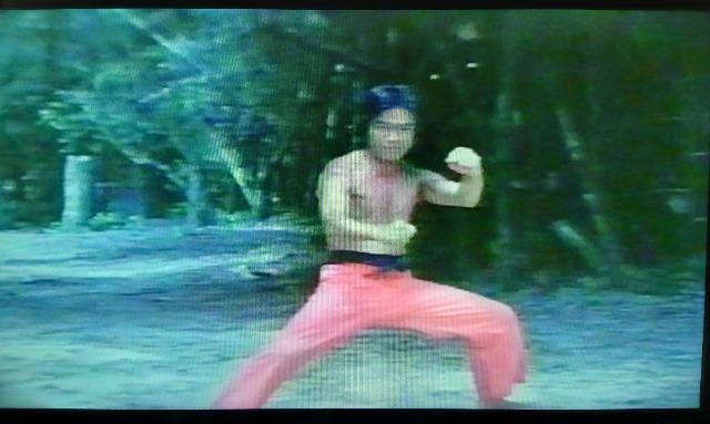 �����˃L���O�I�u�J���t�[���q�c�ۏ� �� CD/DVD/�r�f�I�� 