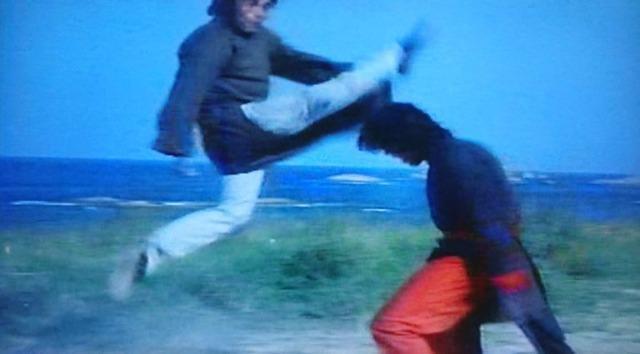 �����˃L���O�I�u�J���t�[���q�c�ۏ� �� CD/DVD/�r�f�I�� 