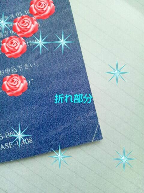 1997`98NtC[RXgP_󏭑  ^gObY 