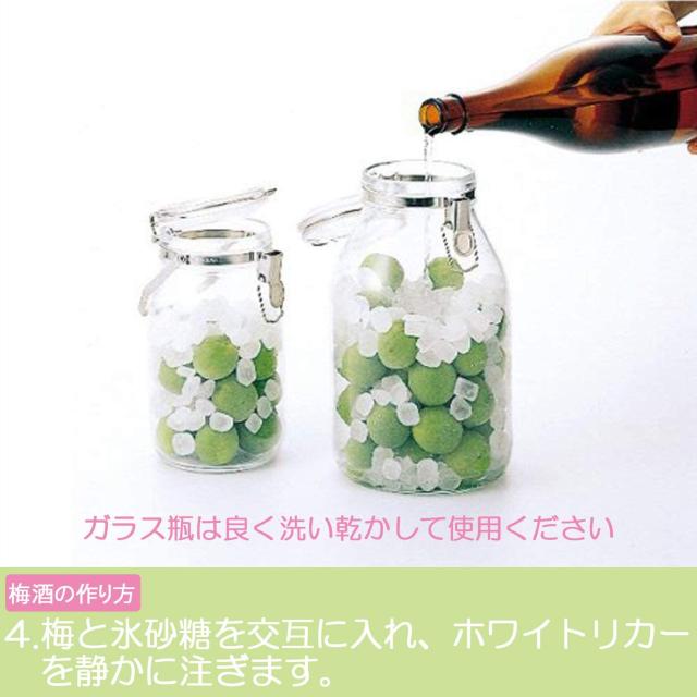 t r ۑe ~ т ʎ Â 4L  CeA/Ct 