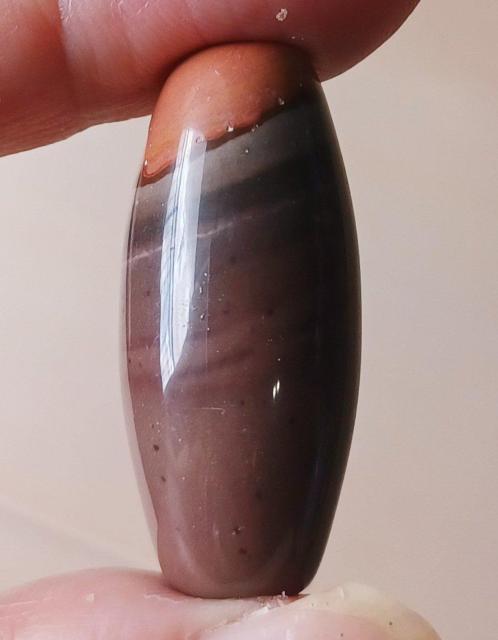 蒙古 九眼頁岩石 蒙天珠 ゴビ瑪瑙 < ペット/手芸/園芸  蒙古 九眼頁岩石 蒙天珠 ゴビ瑪瑙 < ペット/手芸/園芸の