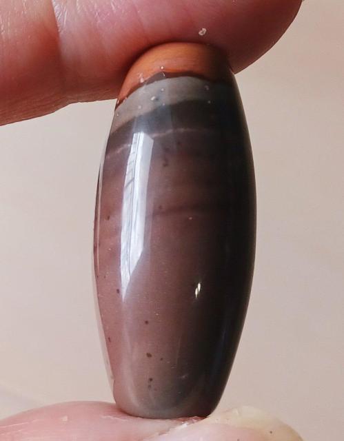 蒙古 九眼頁岩石 蒙天珠 ゴビ瑪瑙 < ペット/手芸/園芸  蒙古 九眼頁岩石 蒙天珠 ゴビ瑪瑙 < ペット/手芸/園芸の