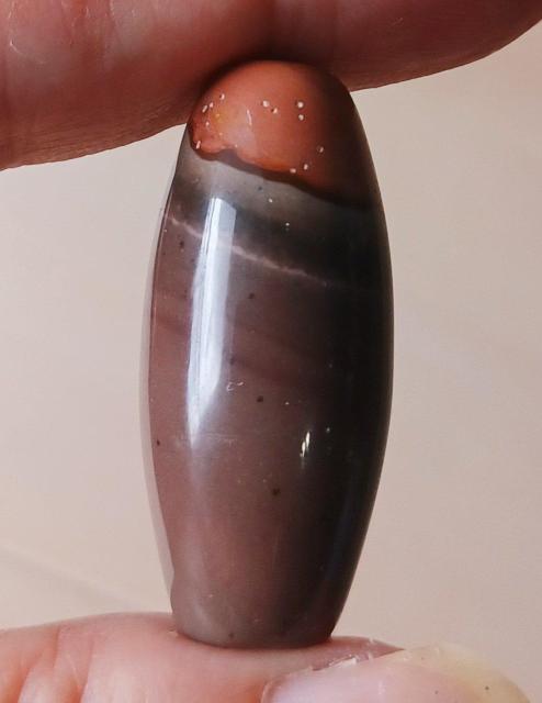 蒙古 九眼頁岩石 蒙天珠 ゴビ瑪瑙 < ペット/手芸/園芸  蒙古 九眼頁岩石 蒙天珠 ゴビ瑪瑙 < ペット/手芸/園芸の