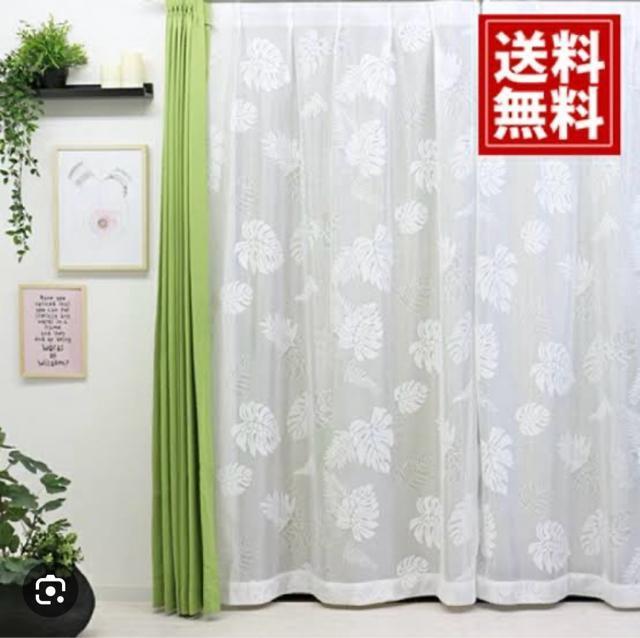 �������������X�e�����[�X�J�[�e����100�~176cm 2������