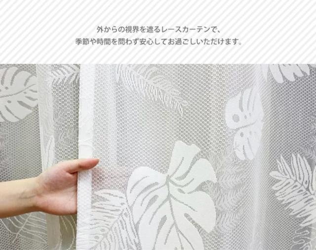 �������������X�e�����[�X�J�[�e����100�~176cm 2������