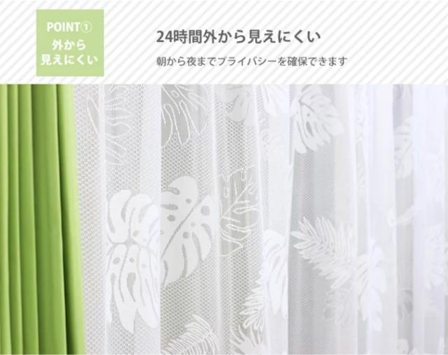 �������������X�e�����[�X�J�[�e����100�~176cm 2������