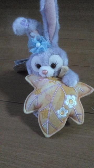 ][gEBbVOEBOXXe[ʂ݃`[   CeA/Ct 