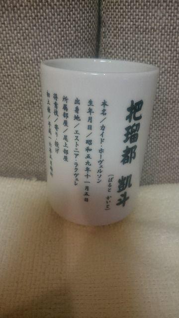 gp 告o D cړs og ۂ RIZIN(CW)  W[/X|[c 