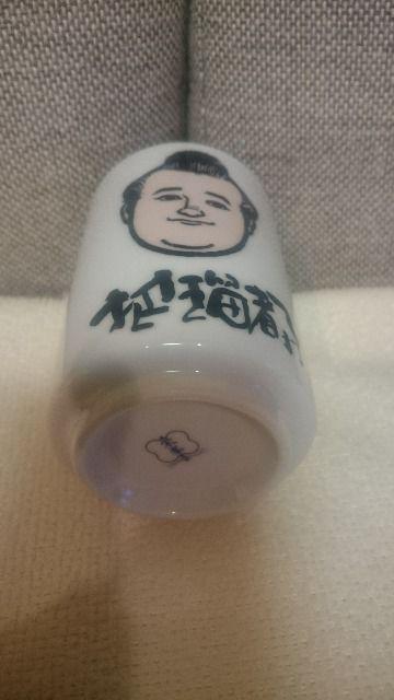 gp 告o D cړs og ۂ RIZIN(CW)  W[/X|[c 