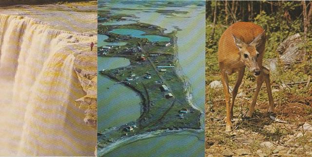 カナダ 郵便絵はがき8¢1970年代 3種【F-8】 < ホビー カナダ 郵便絵はがき8¢1970年代 3種【F-8】 < ホビーの