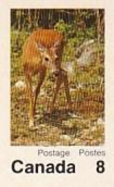 カナダ 郵便絵はがき8¢1970年代 3種【F-8】 < ホビー カナダ 郵便絵はがき8¢1970年代 3種【F-8】 < ホビーの