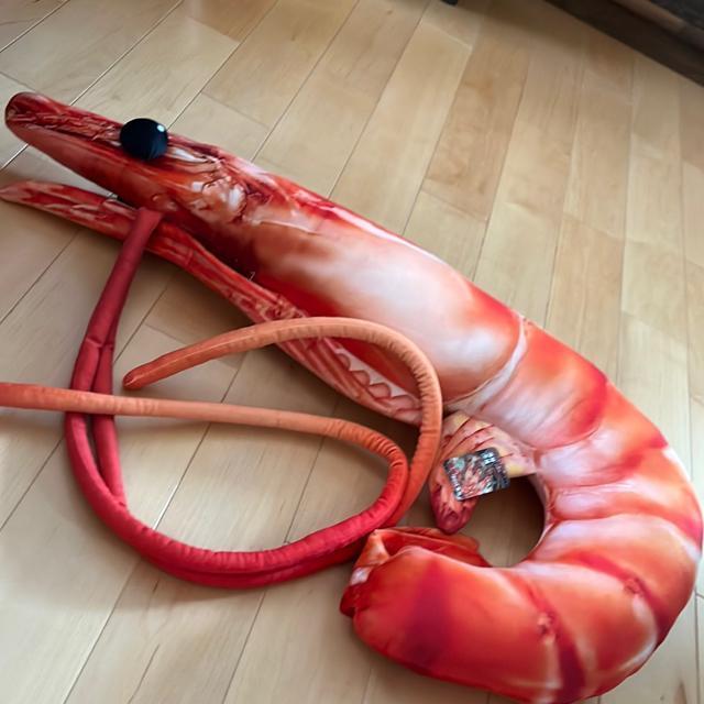 海鮮市場海老ぬいぐるみアミューズメント < おもちゃ 海鮮市場海老ぬいぐるみアミューズメント < おもちゃの