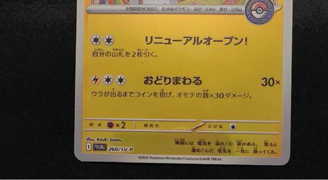 �y��/�v�����z�g�E�z�N�̃s�J�`���E 260/SV-P �|�P�����Z���^�[���k ���j���[�A���L�O �|�P�J ���i ���� �� �g���[�f�B���O�J�[�h�� 